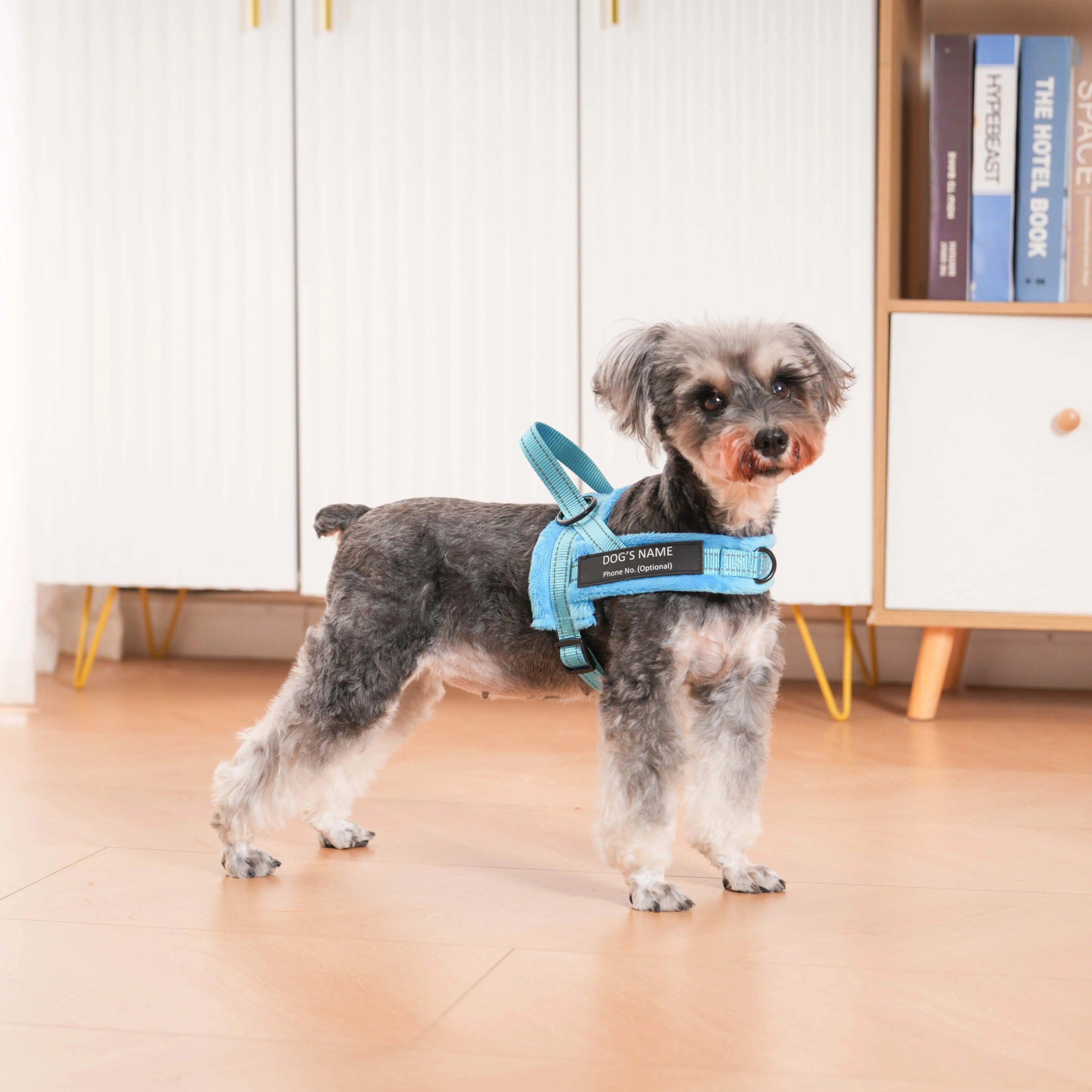Dog control pro 2.0 med antidrag