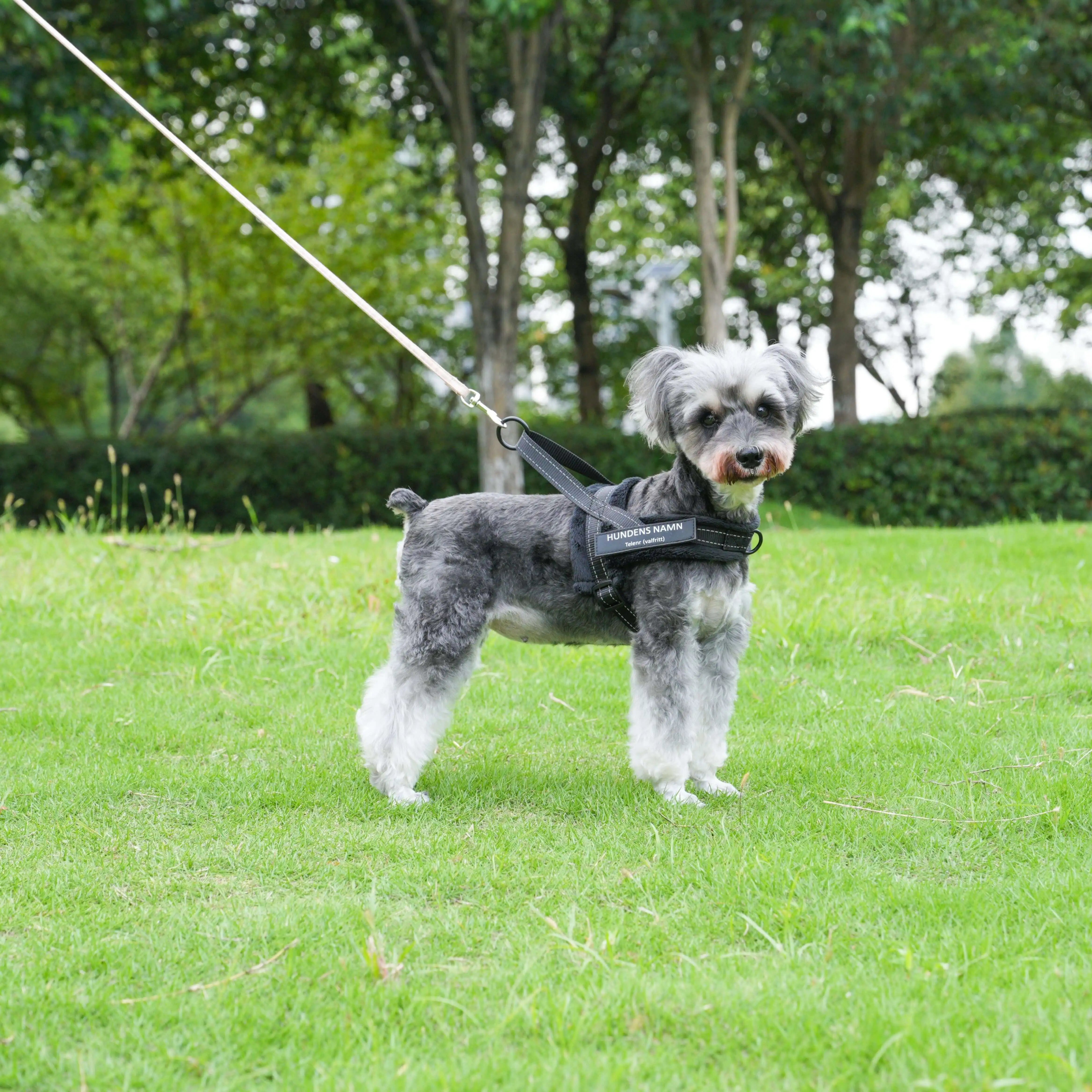 Dog control pro 2.0 med antidrag
