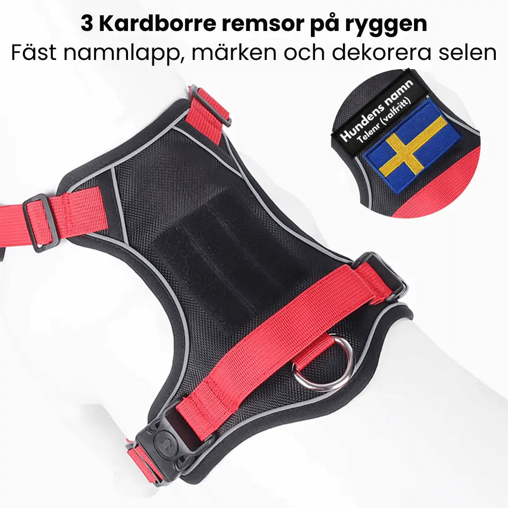 Y-Dog Pro - Promenadpaketet