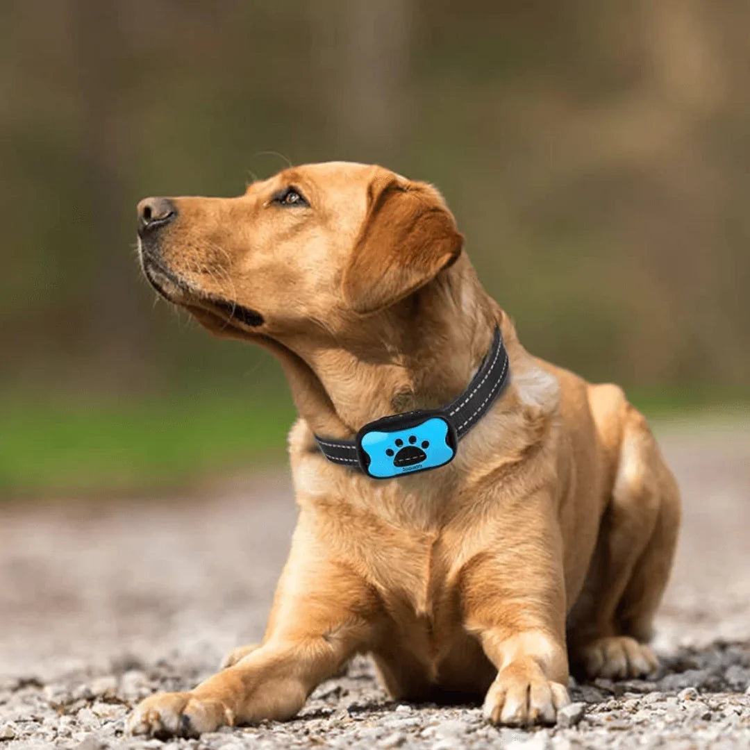 Humant Anti-Skall Halsband