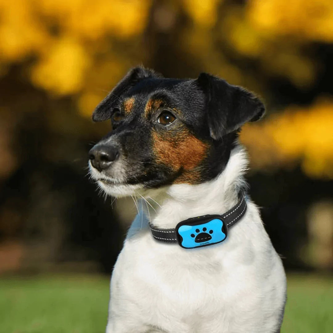 Humant Anti-Skall Halsband