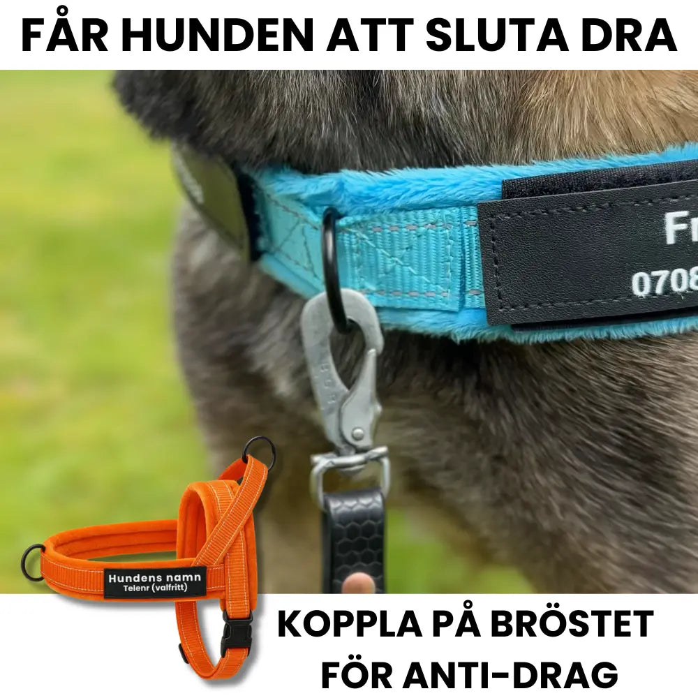 Dog control pro 2.0 med antidrag