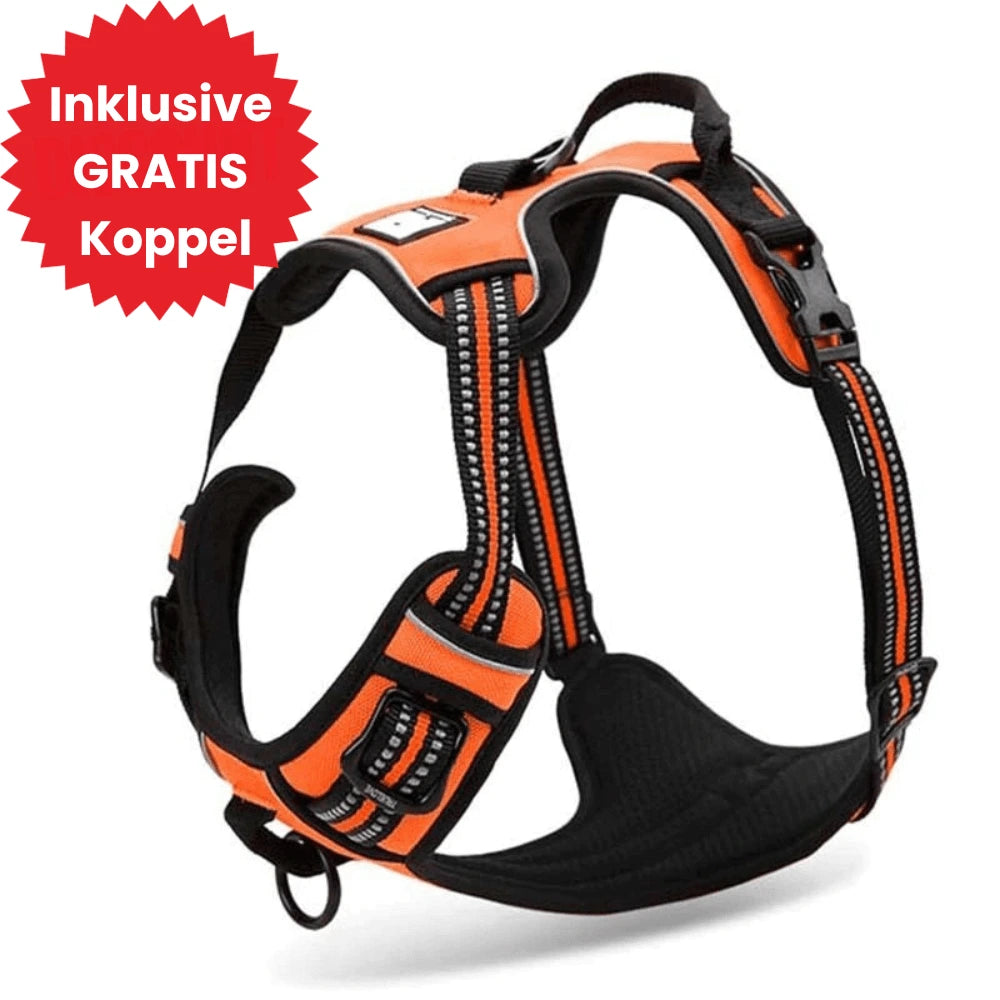 Y-Dog Pro 2.0 med anti-drag