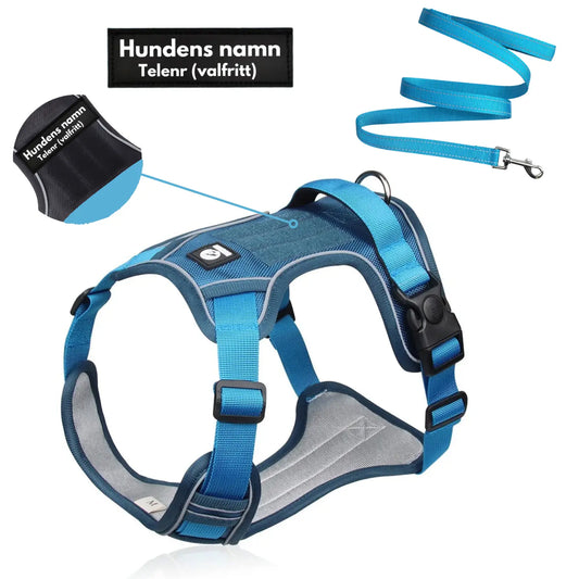 Y-Dog Pro - Promenadpaketet