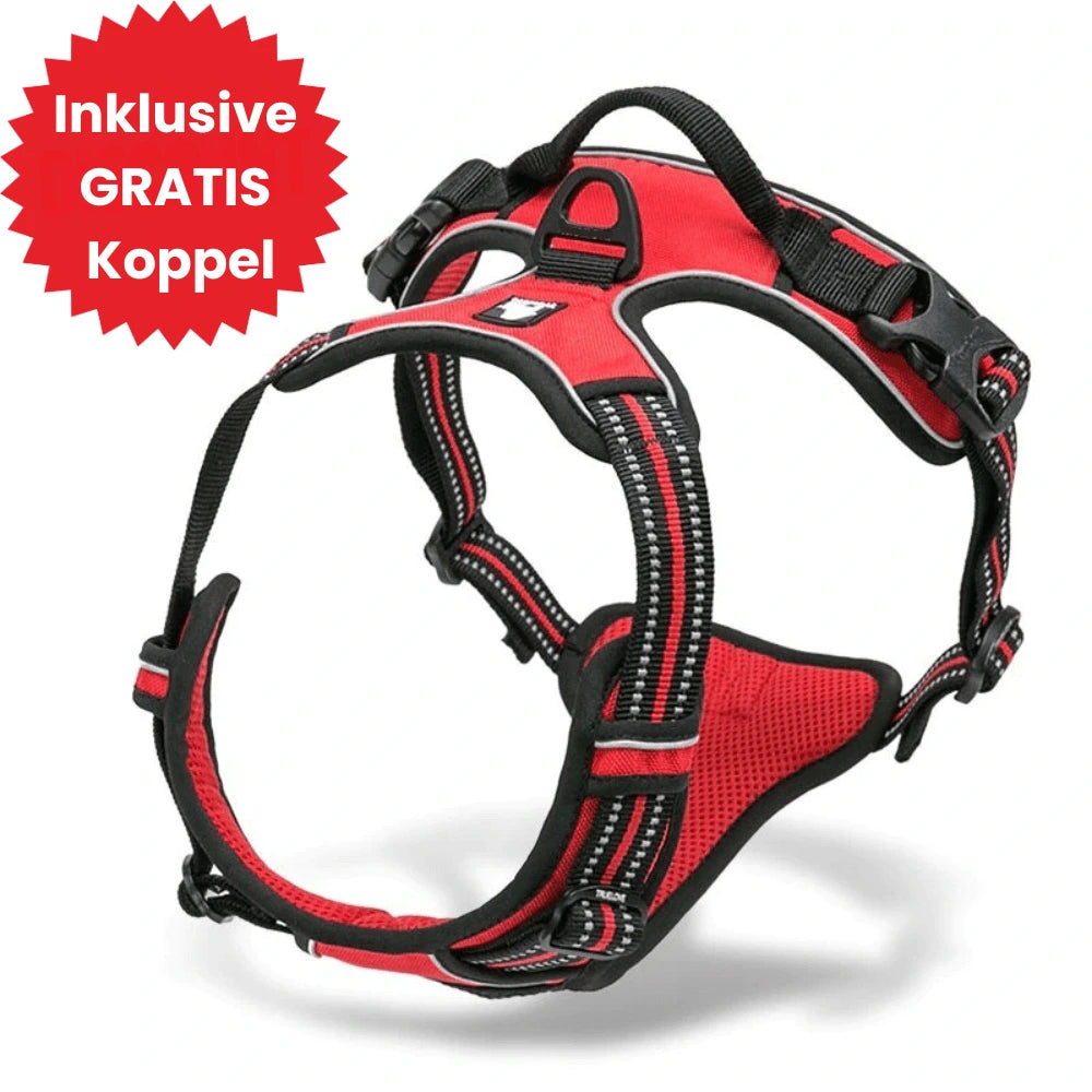 Y-Dog Pro 2.0 med anti-drag