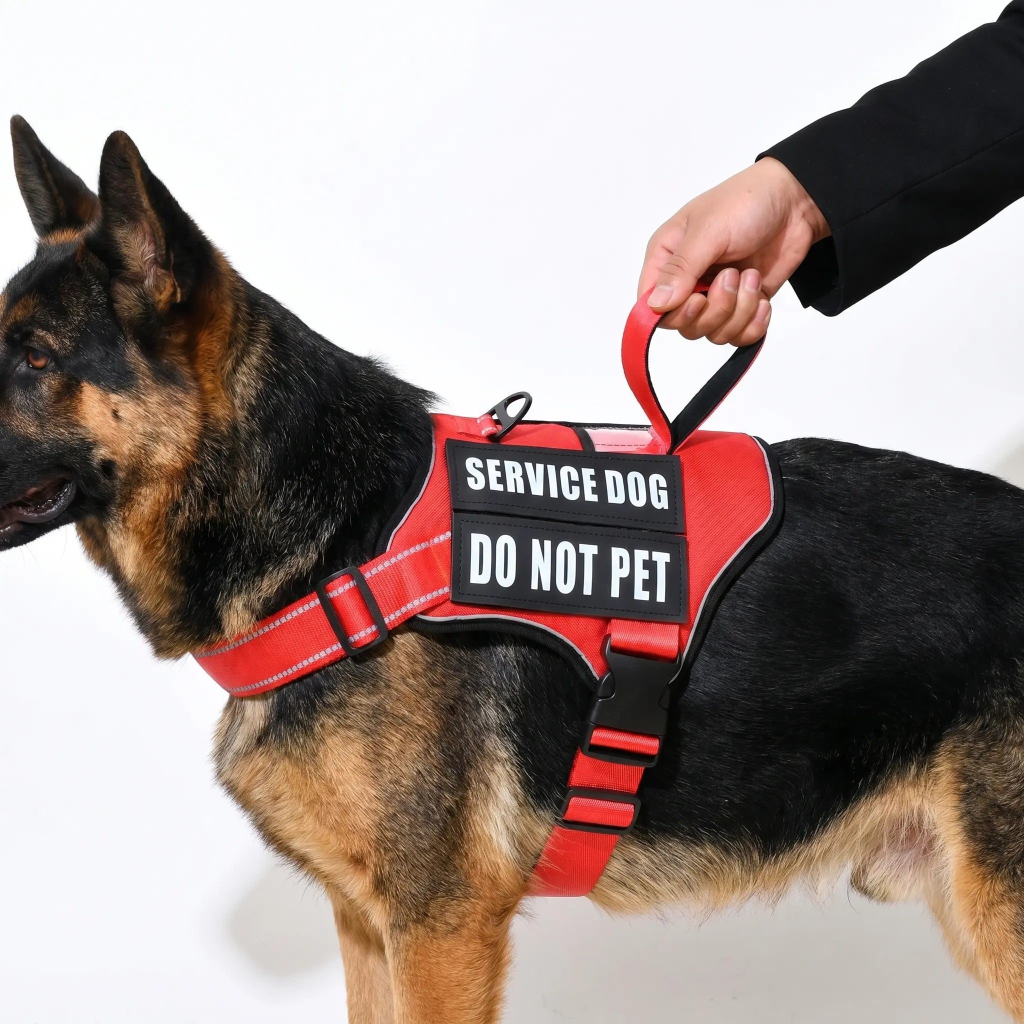 Personlig Hundsele med Anti-drag
