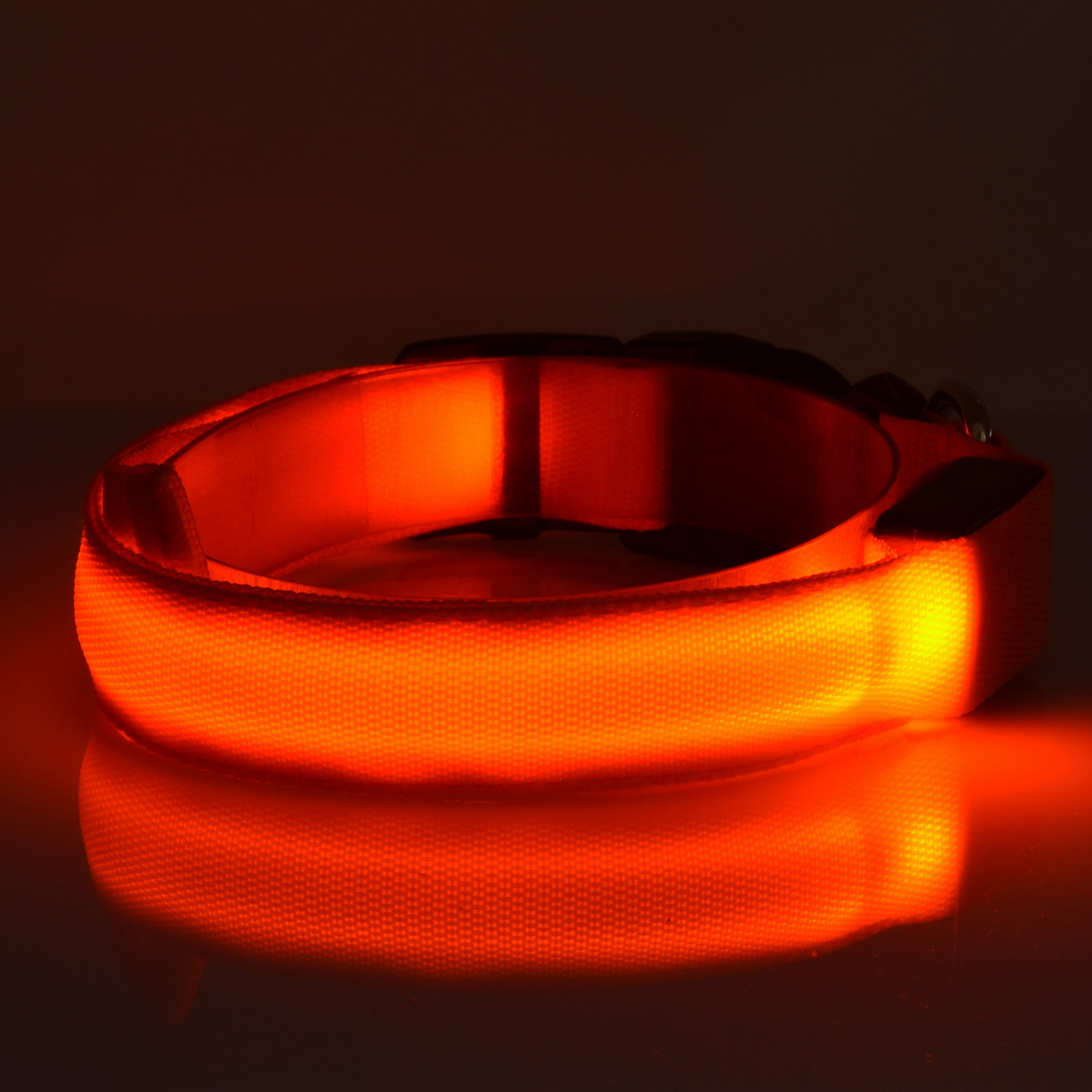 Led halsband