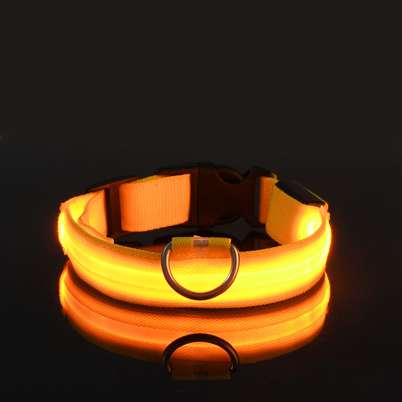 Led halsband