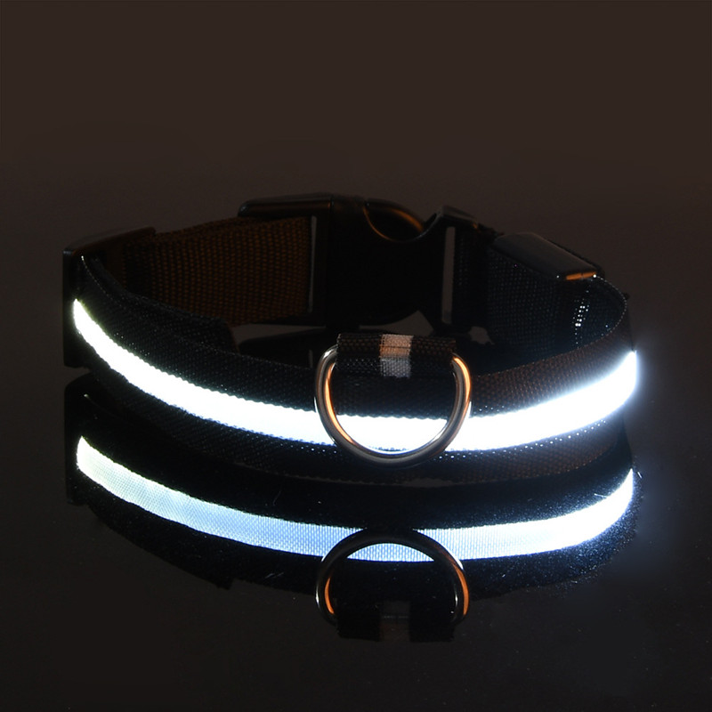 Led halsband