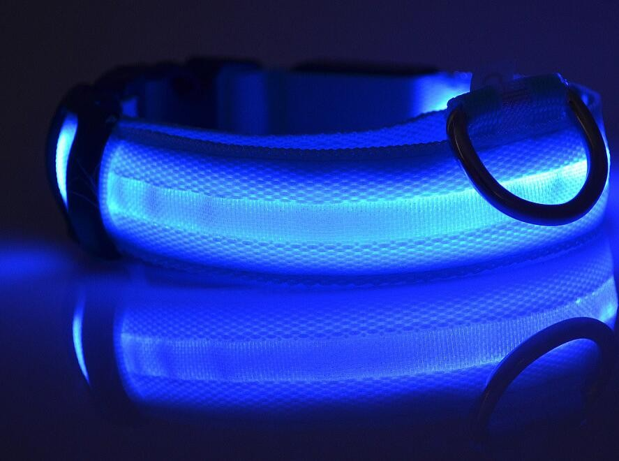 Led halsband