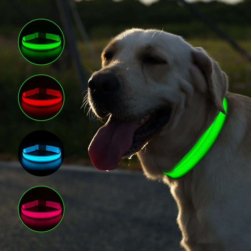 Led halsband