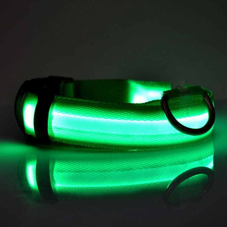 Led halsband