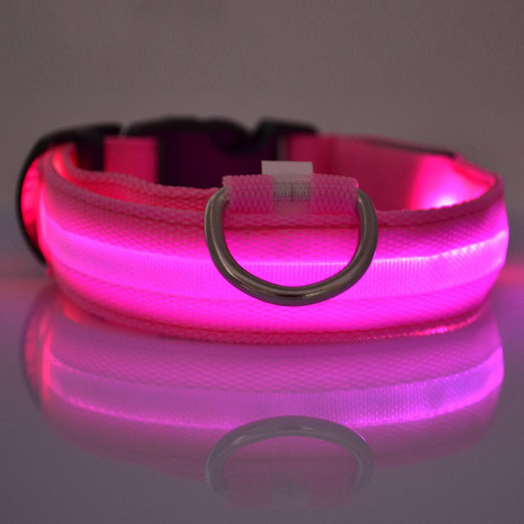Led halsband