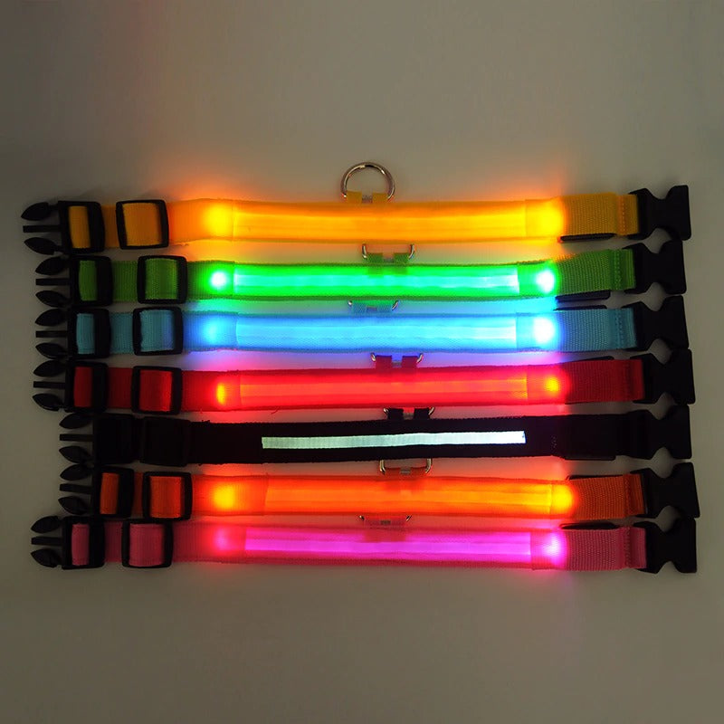 Led halsband
